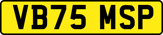 VB75MSP