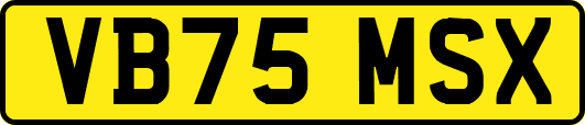 VB75MSX