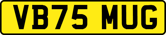 VB75MUG