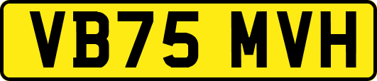 VB75MVH