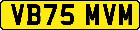 VB75MVM
