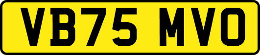 VB75MVO