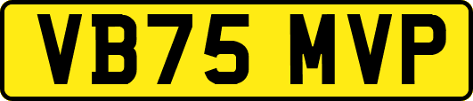 VB75MVP