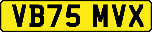 VB75MVX