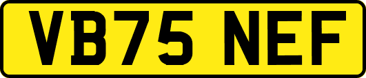 VB75NEF