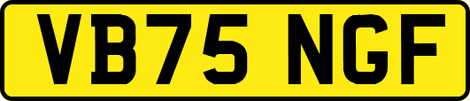 VB75NGF