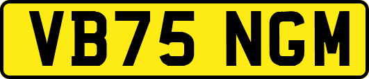 VB75NGM