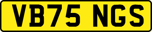 VB75NGS