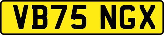 VB75NGX
