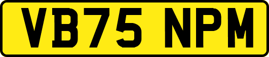 VB75NPM