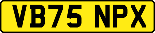 VB75NPX