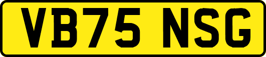 VB75NSG