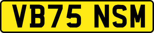VB75NSM