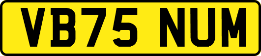 VB75NUM
