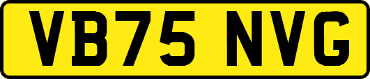 VB75NVG