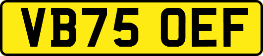 VB75OEF