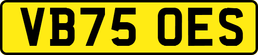 VB75OES