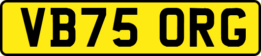 VB75ORG