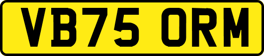 VB75ORM