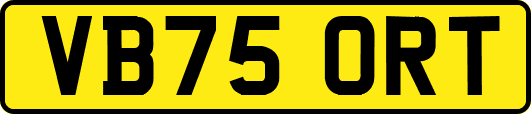 VB75ORT