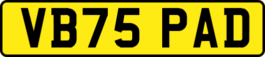 VB75PAD