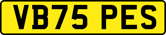 VB75PES