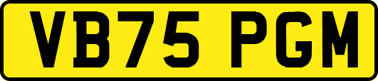 VB75PGM