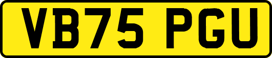VB75PGU