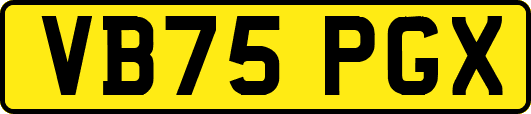 VB75PGX