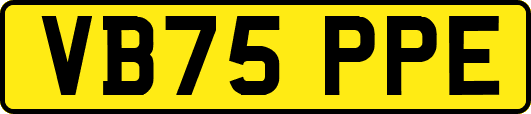 VB75PPE