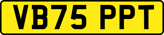 VB75PPT
