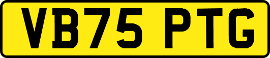 VB75PTG