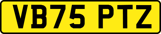 VB75PTZ
