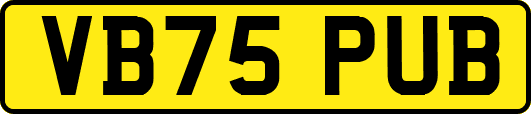 VB75PUB