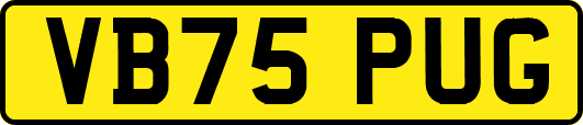 VB75PUG