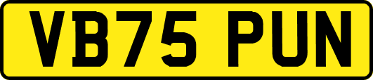 VB75PUN