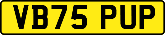 VB75PUP
