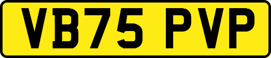 VB75PVP
