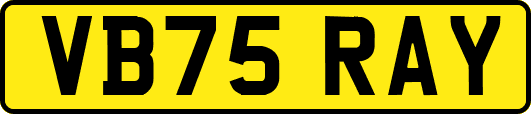 VB75RAY
