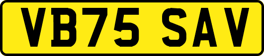 VB75SAV