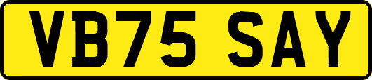 VB75SAY