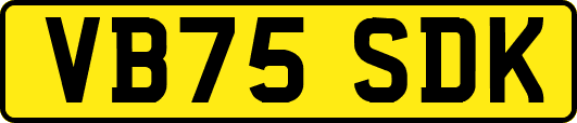 VB75SDK