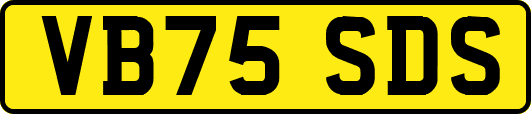 VB75SDS
