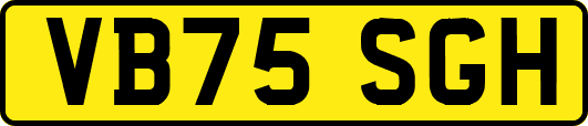 VB75SGH