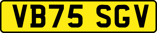 VB75SGV