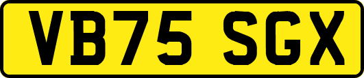 VB75SGX