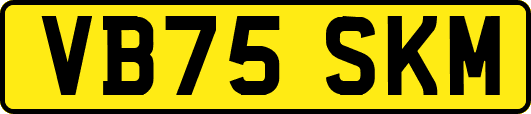 VB75SKM