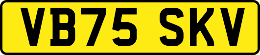 VB75SKV