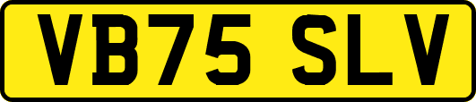 VB75SLV