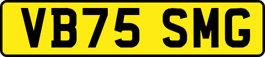 VB75SMG